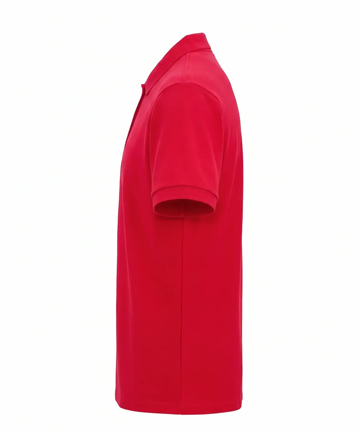 Red – Illustrative view: right view