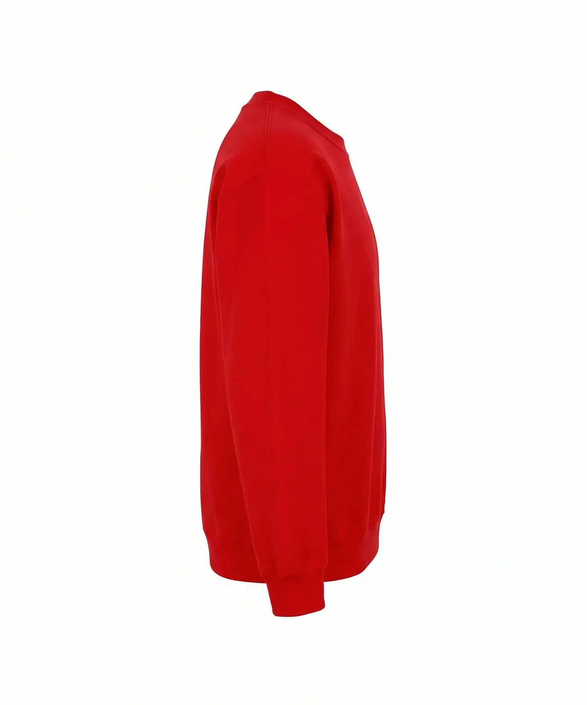 Red – Illustrative view: right view