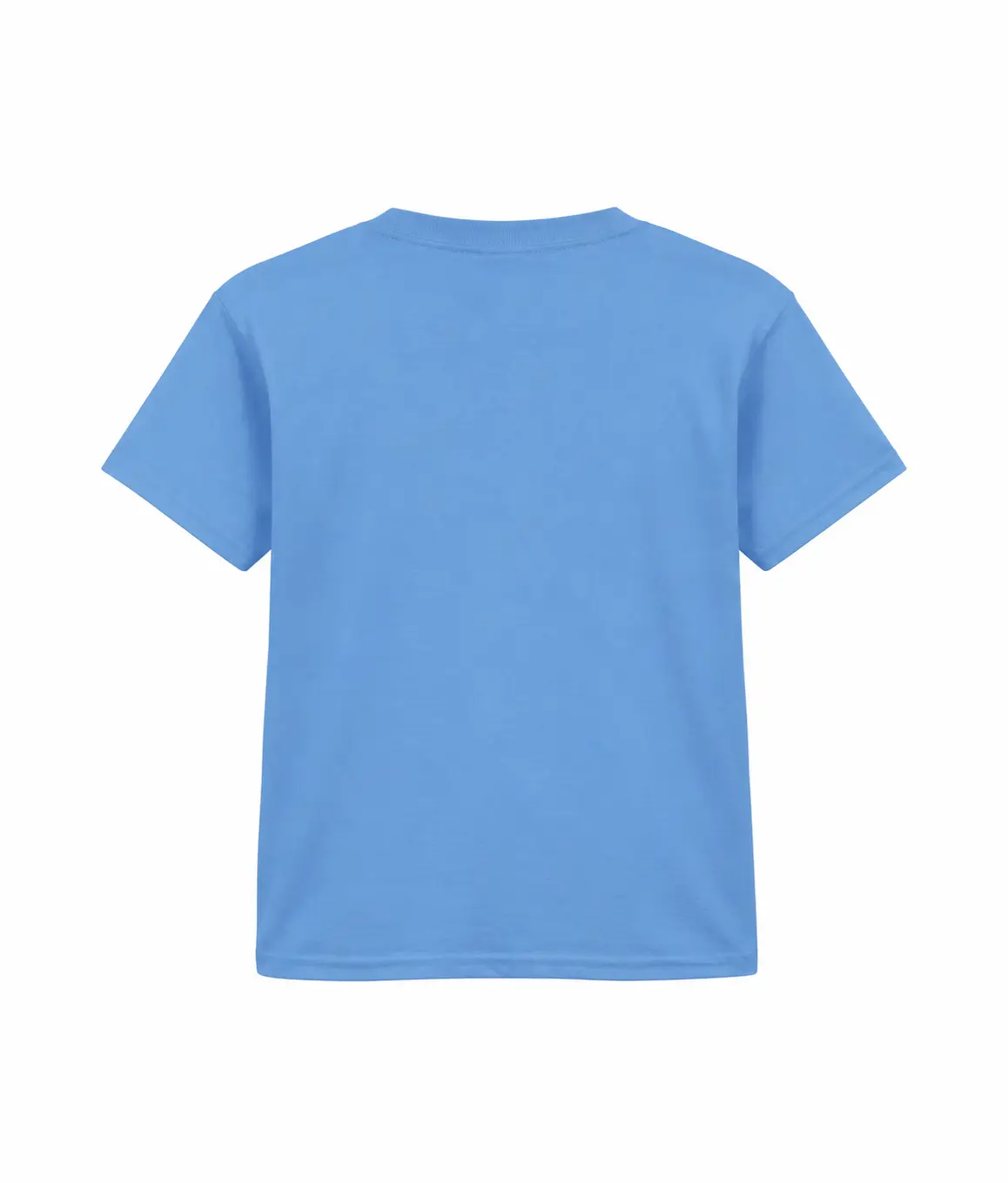 Gildan Softstyle youth ringspun t-shirt – Carolina Blue – Illustrative view: back