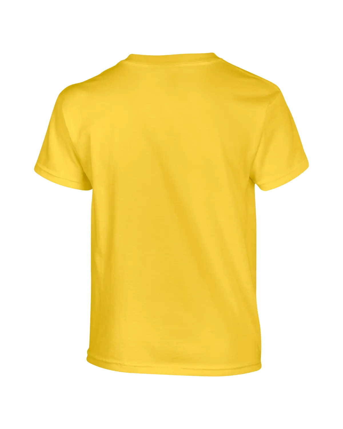 Gildan Heavy Cotton youth t-shirt – Daisy – Original product photograph: back